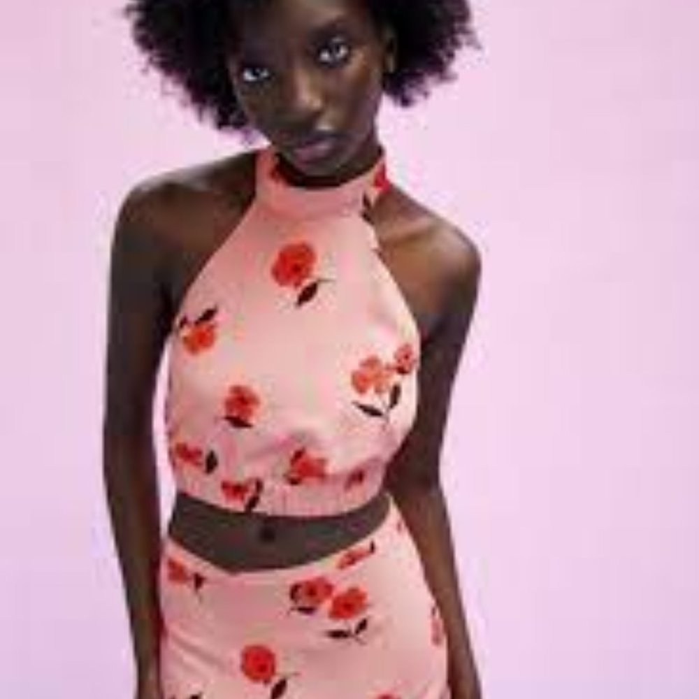 Zara Printed Linen Blend Skirt & Crop Top ( Top- Medium Skirt- Small)